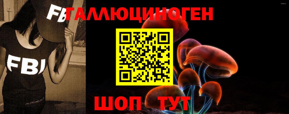 Псилоцибиновые грибы MAGIC MUSHROOMS Моздок